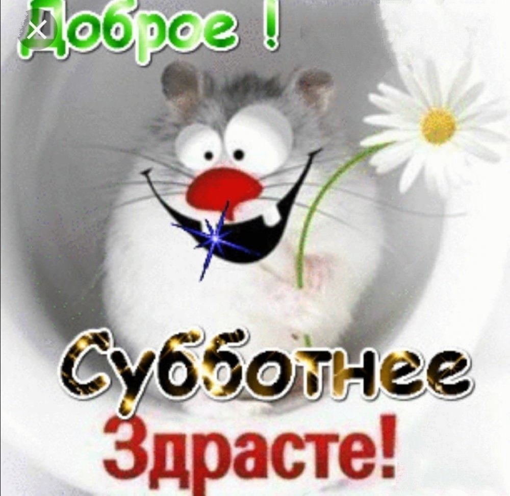 Веселой субботы