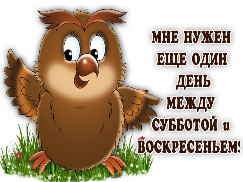 Пожелания с добрым утром в субботу