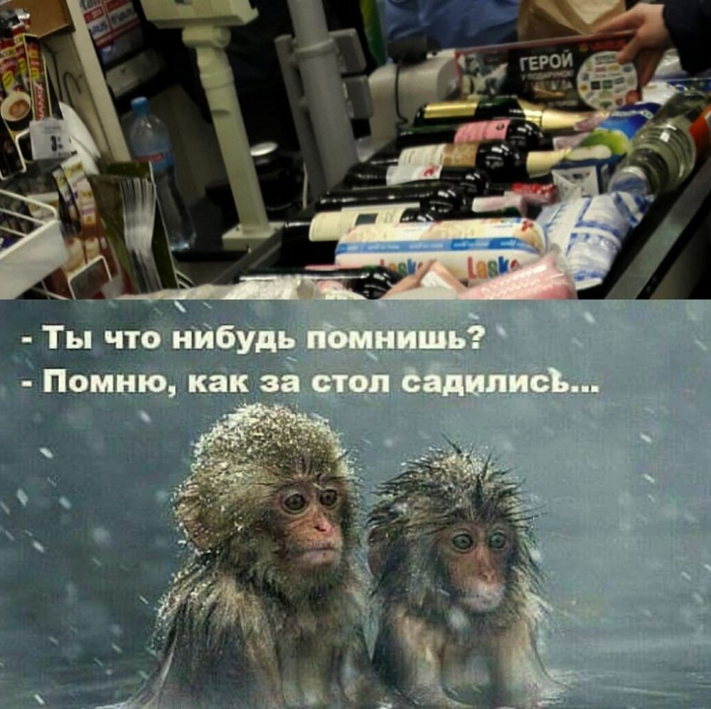 Смешные шутки про обезьян