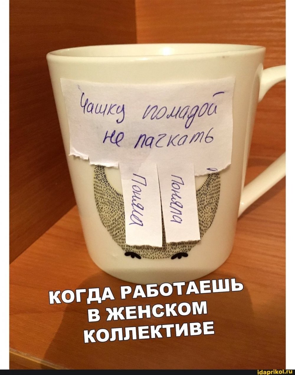 Приколы про коллектив