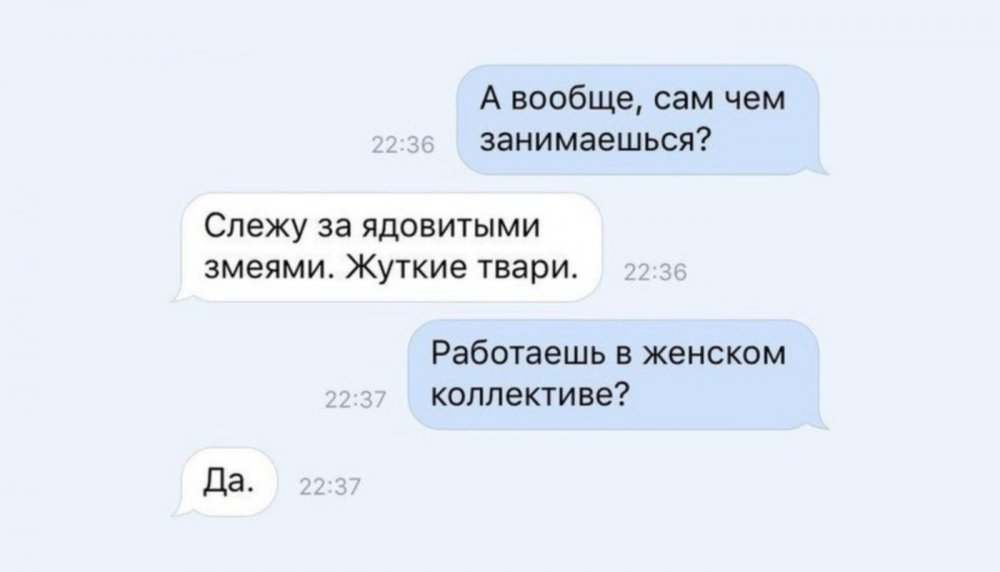 Женский коллектив прикол