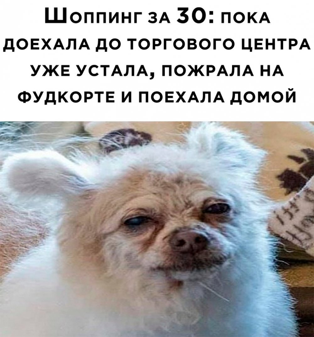 Нельзя просто так взять и