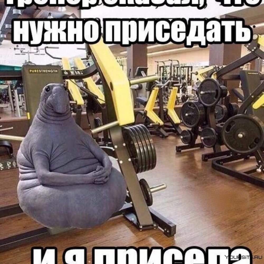 Спортивные шутки