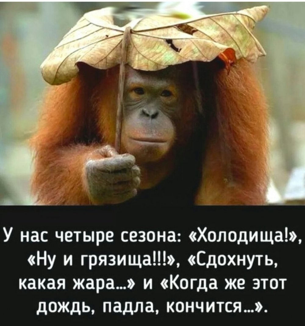 Юмор приколы