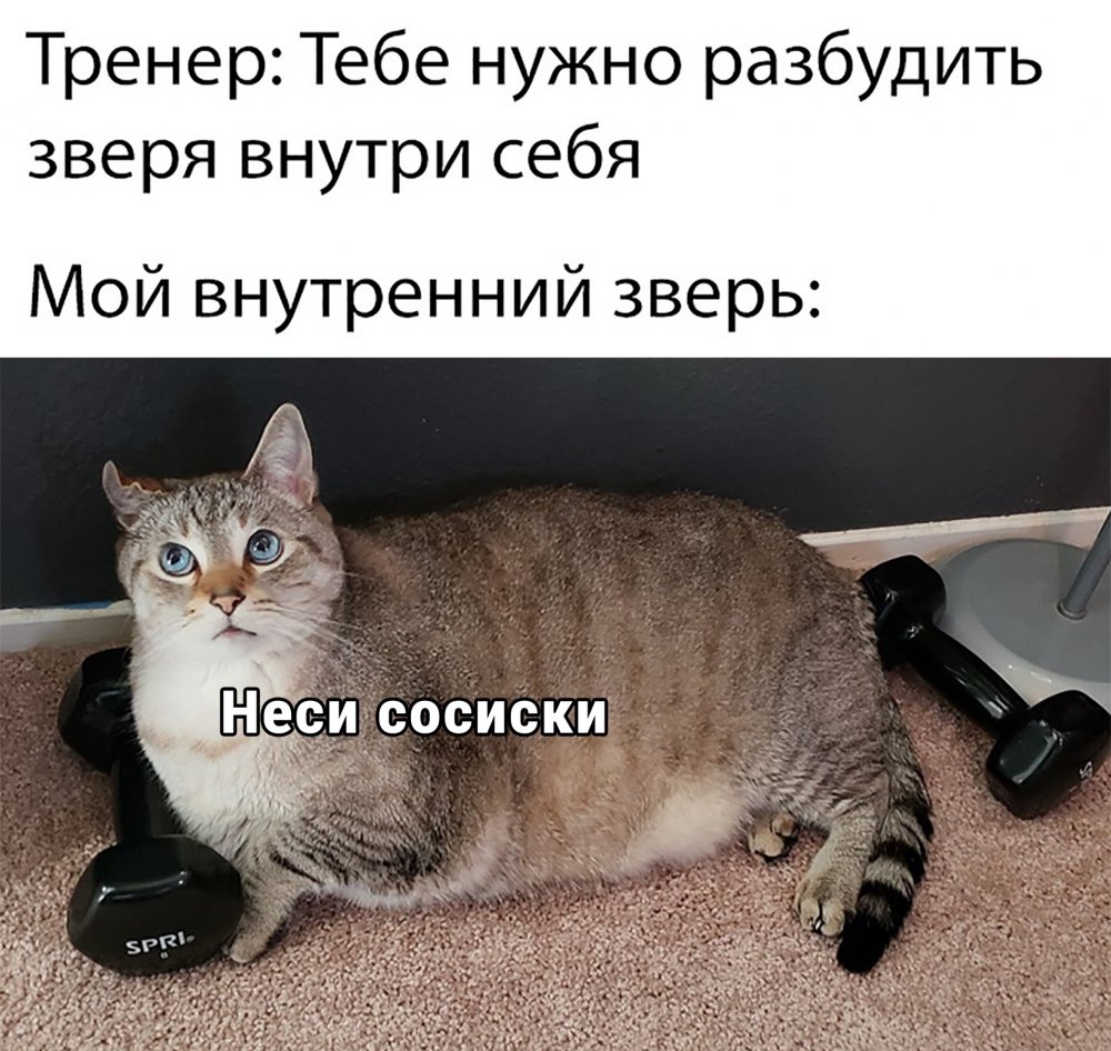 Юмор приколы