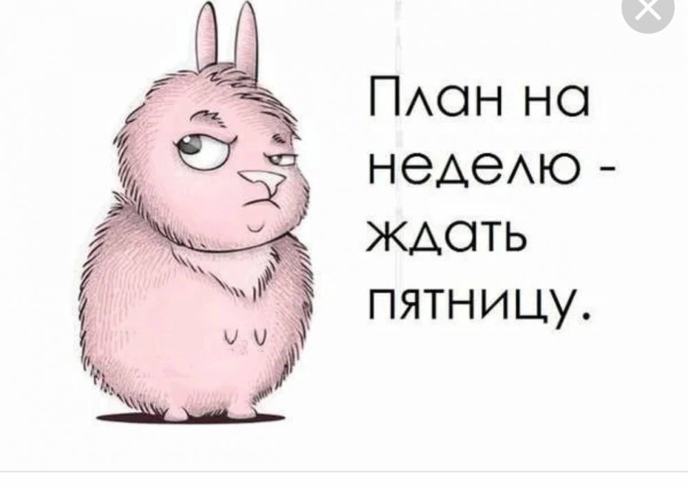 План на понедельник ждать пятницу