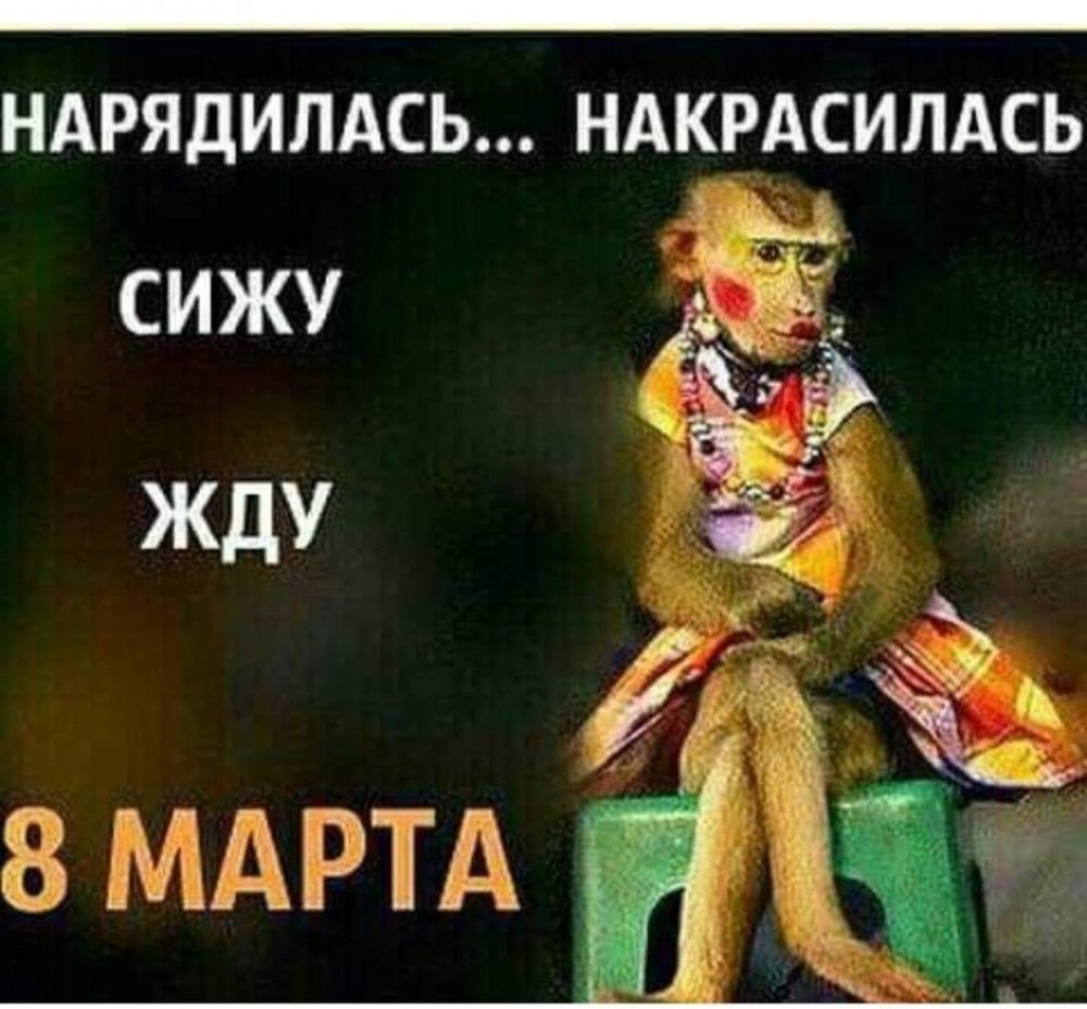 Сижу жду 8 марта