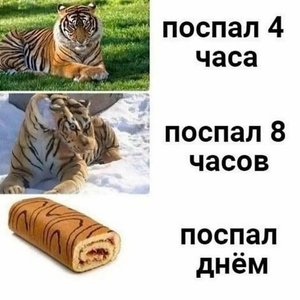 Мемы про тигра