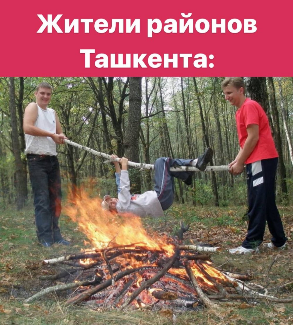 Три девушки на пикнике