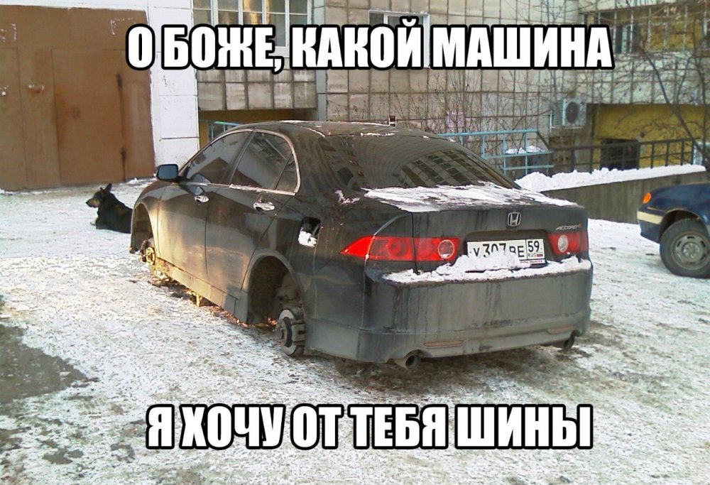 Автоюмор с надписями