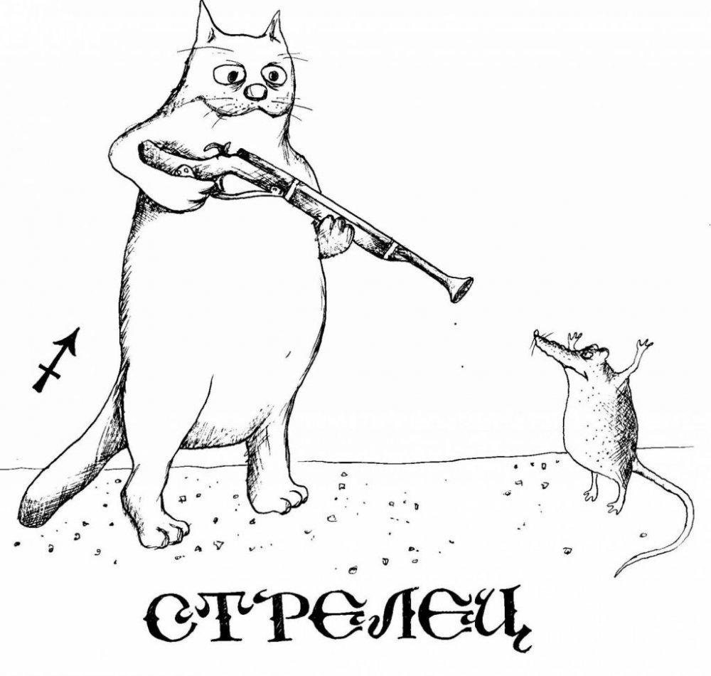 Стрелец приколы