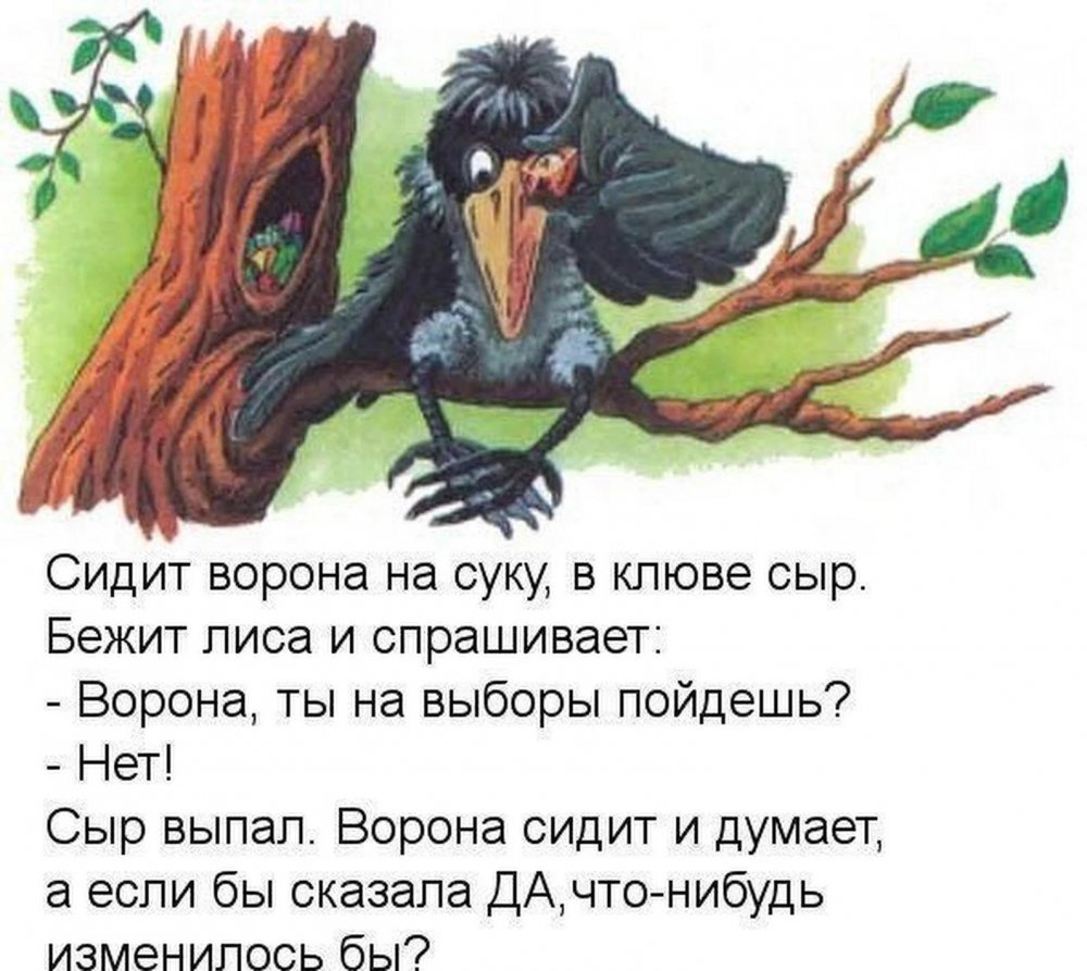 Шутки про ворону