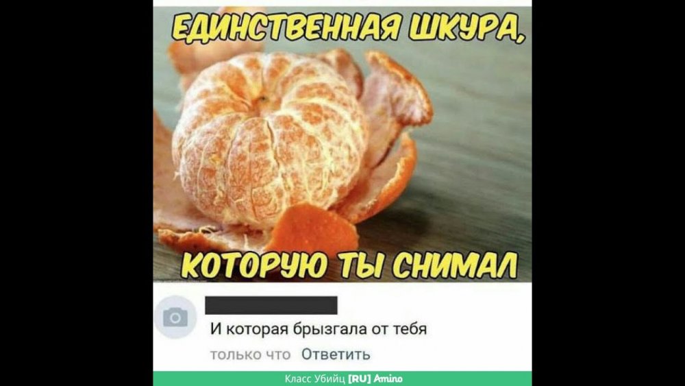 Шутки про шкур