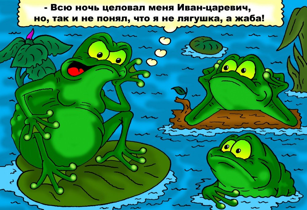 Жаба прикол