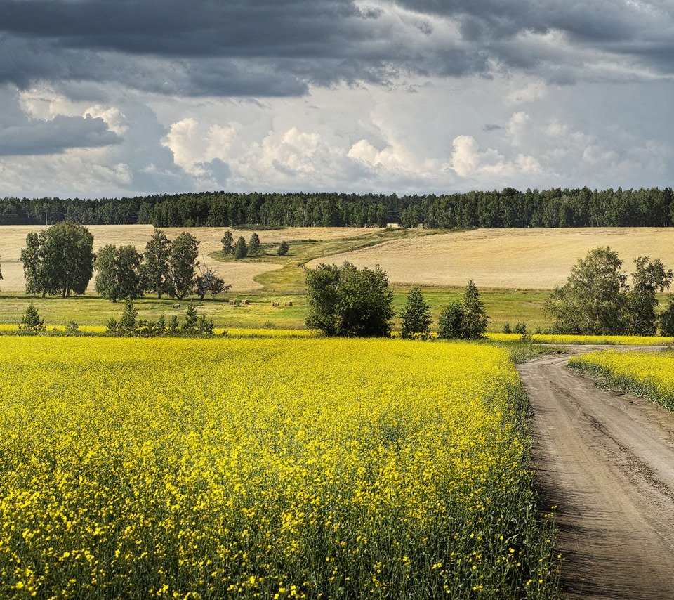 Луга Рязанской области