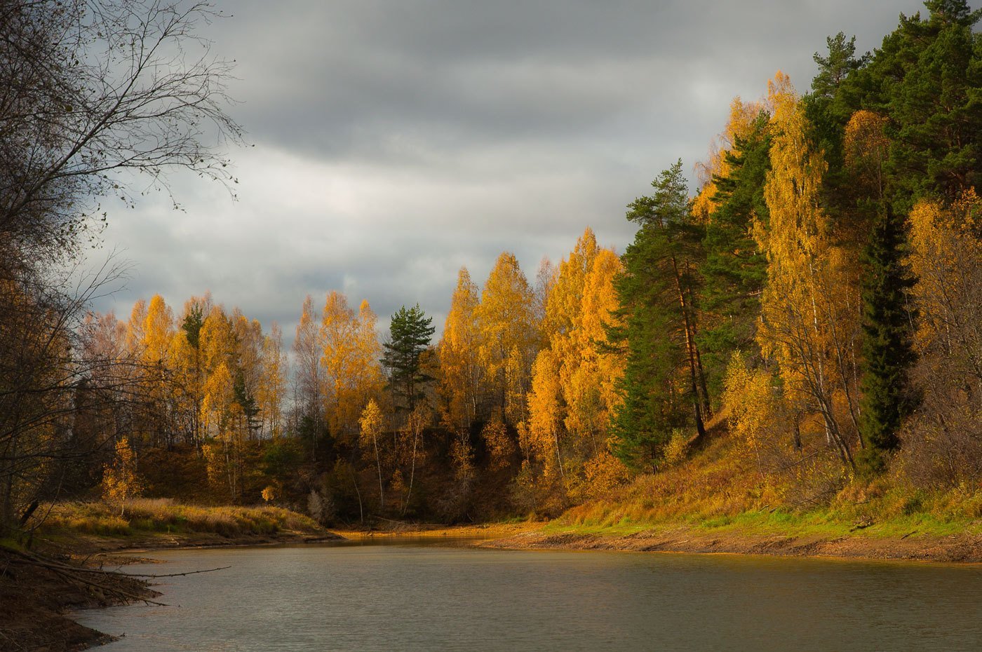 Саровский лес осень