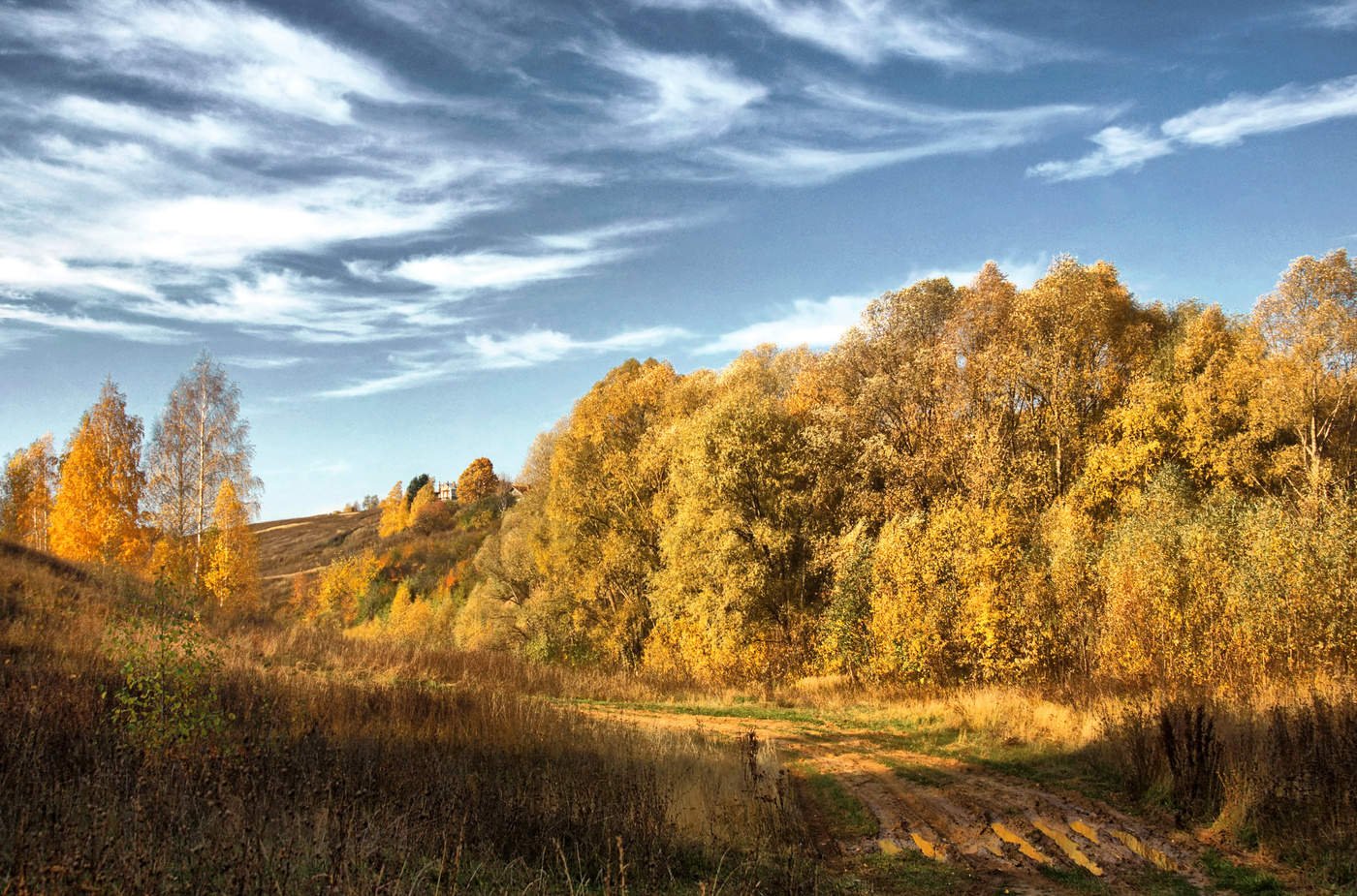 Золотая осень средняя. Осенние фотопейзажи России. Осенний лес средней полосы. Осень в средней полосе России. Осенние пейзажи средней полосы России.