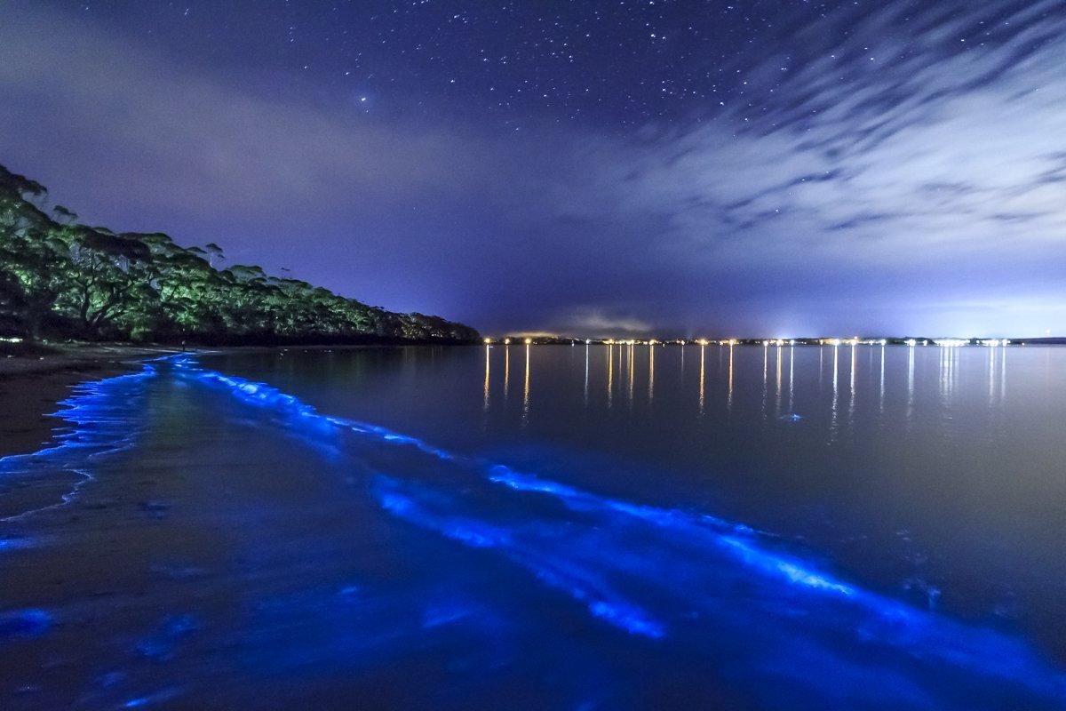 Прозрачная вода ночью