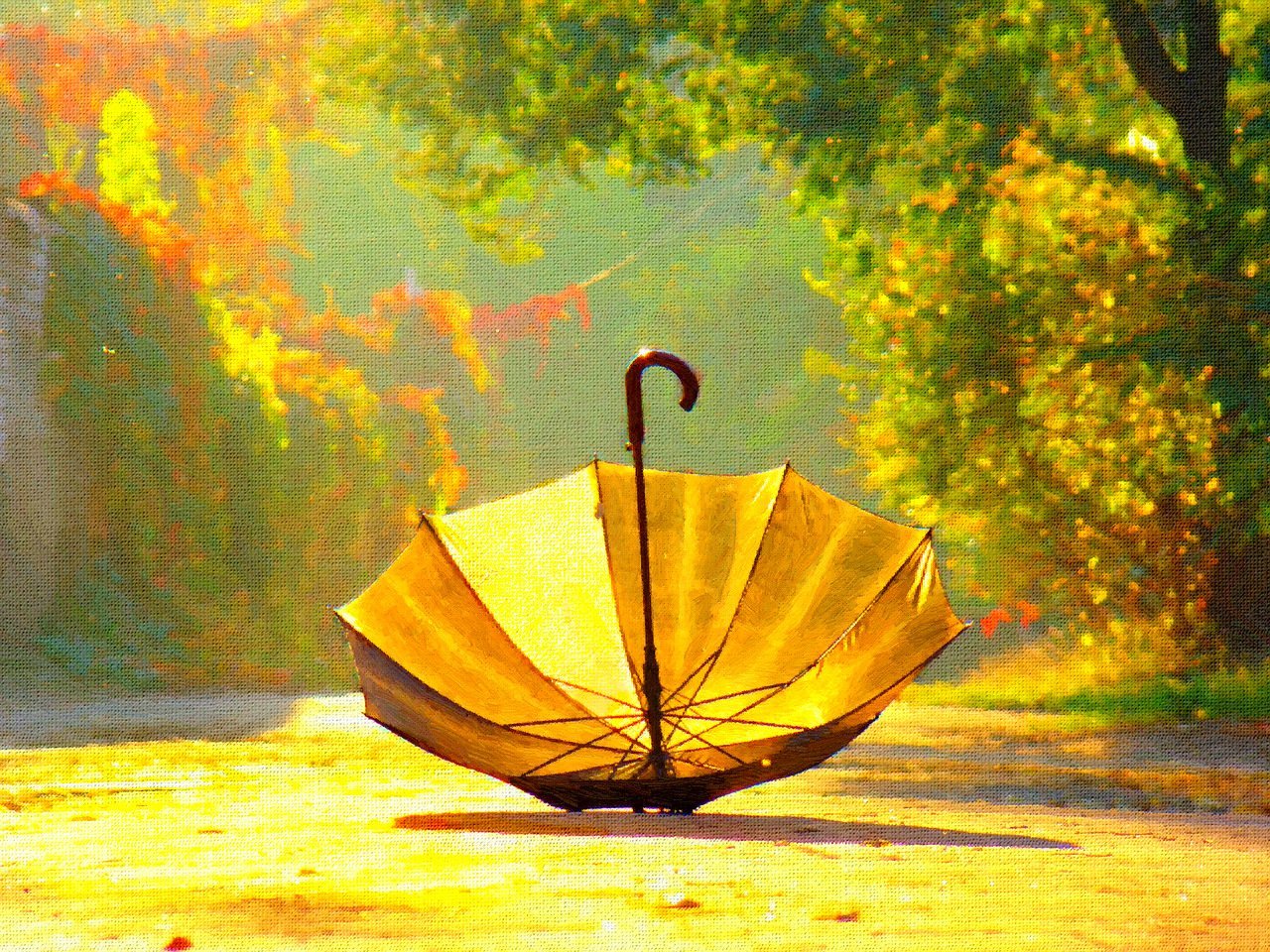 Осенний зонтик