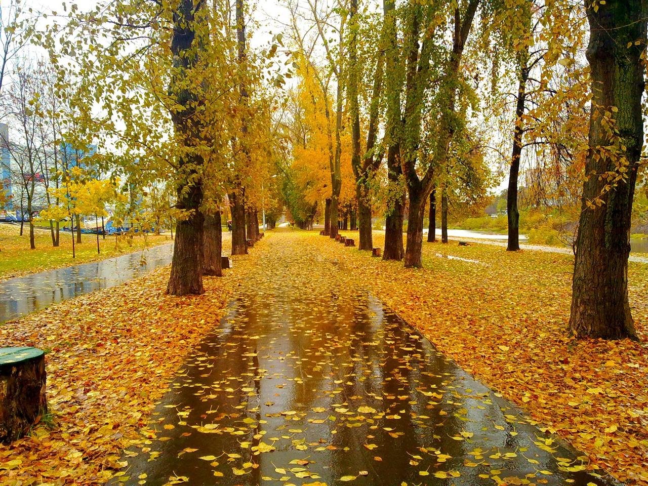 Золотая осень в городе