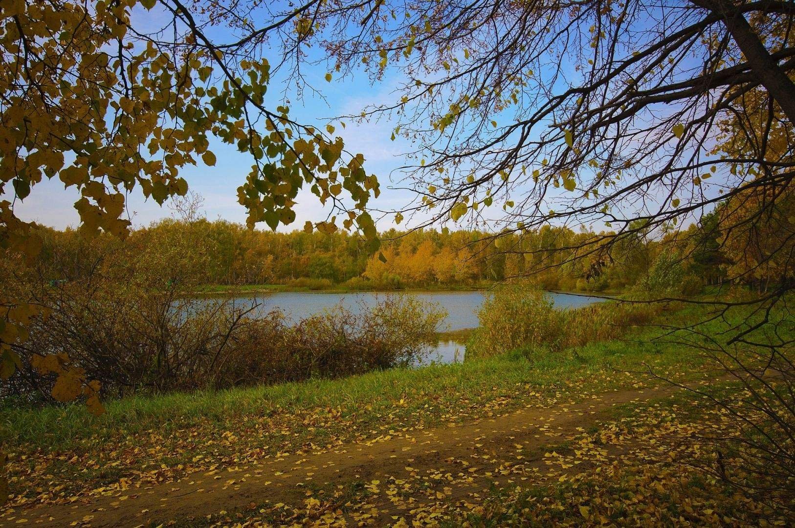 Начало осени. Осенний пейзаж фото Любительское. Бабье лето дивасы. Большое бабье Новгородской области. 2003- Бабье лето, Юрга.