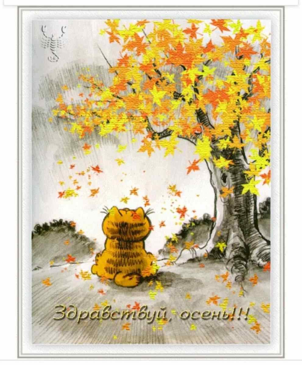 Картинки осень добра. Осенние открытки. Открытки с изображением осени бесплатно. Теплые осенние открытки. Здравствуй осень.