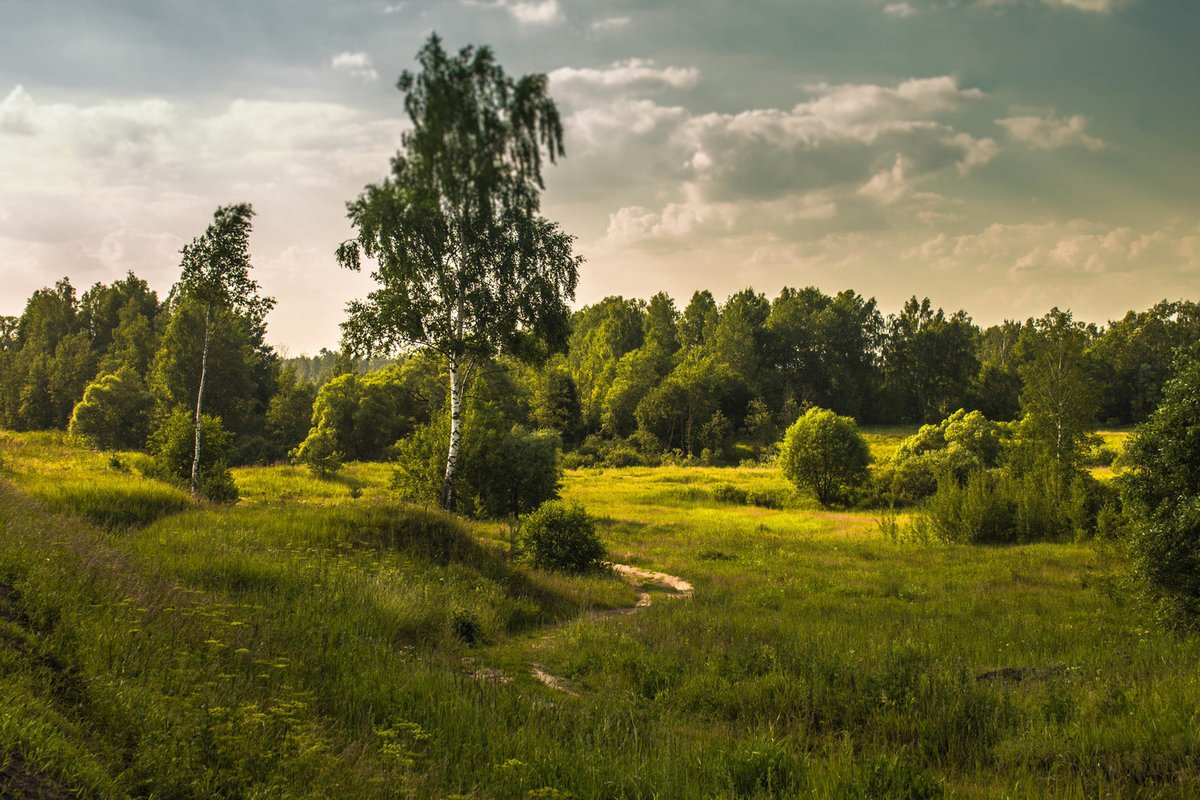 Красивое фото русской природы