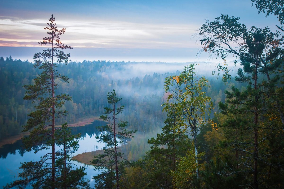 Флора Финляндии