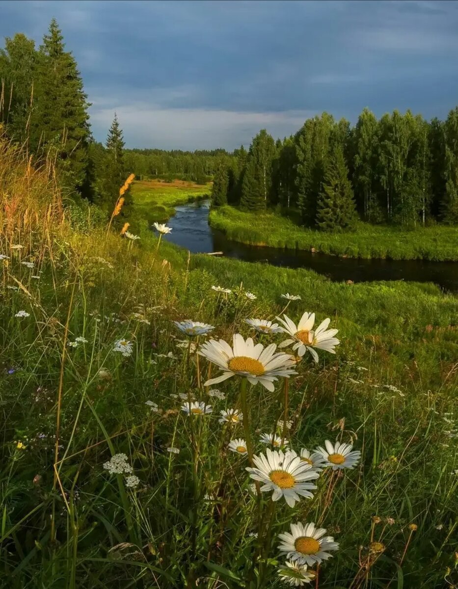 Летний пейзаж