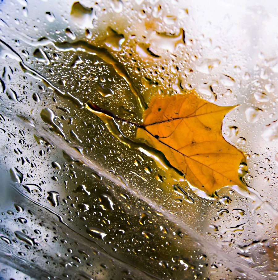 Осенние капли дождя