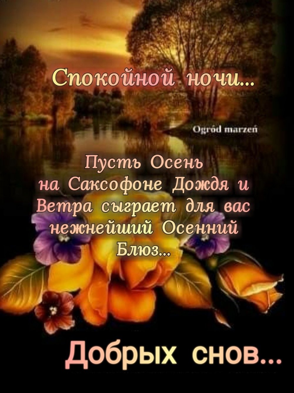 Доброй осенней ночи любимая