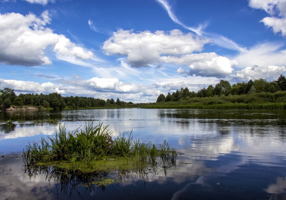 Река Вилия в Беларуси