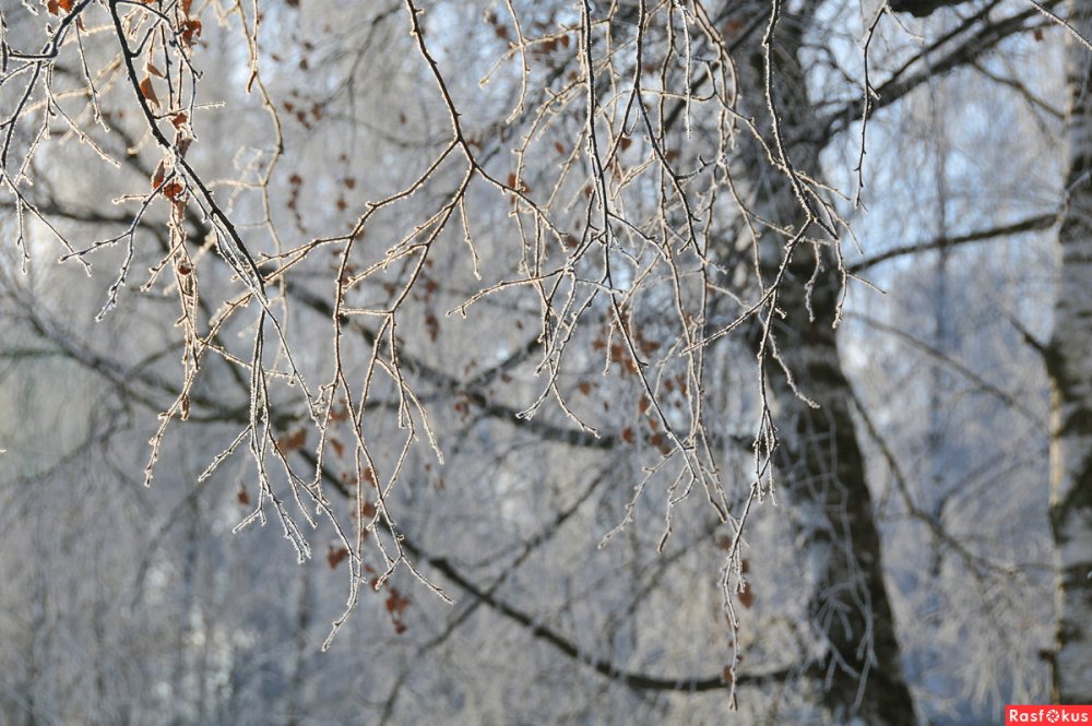 Снежная бахрома