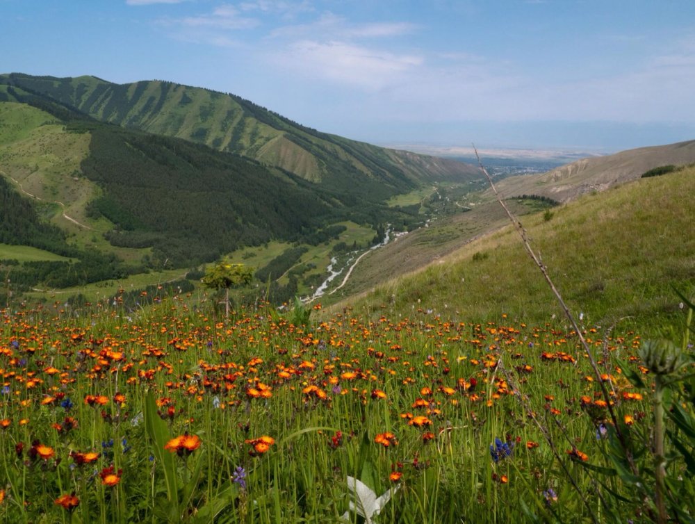 Природа Кыргызстана горы Талас