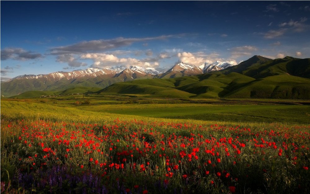 Чуйская Долина горы Кыргызстана