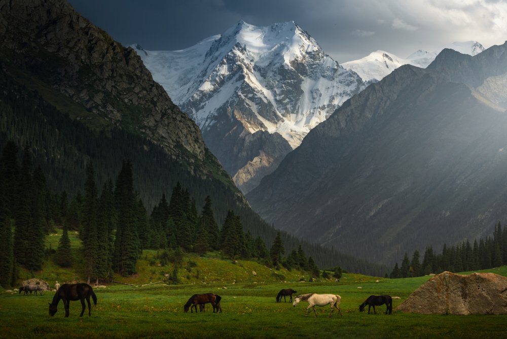 Горы и жайлоо Кыргызстана