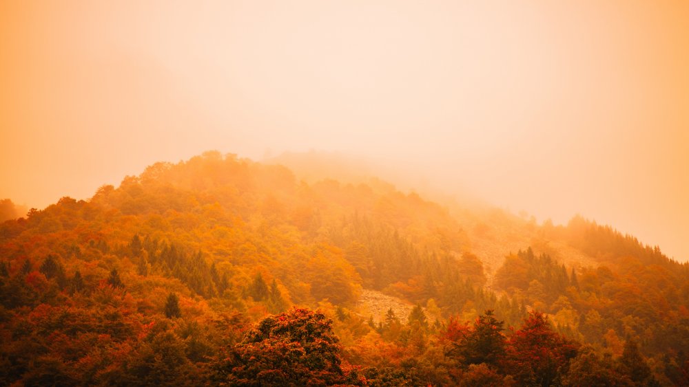 Осень горы туман