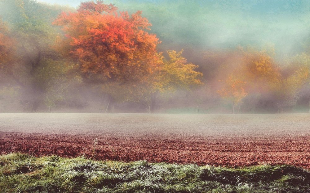 Осеннее поле в тумане
