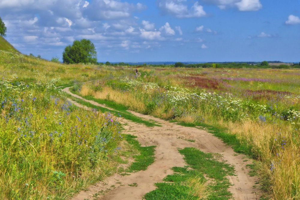 Остроуховские Луга