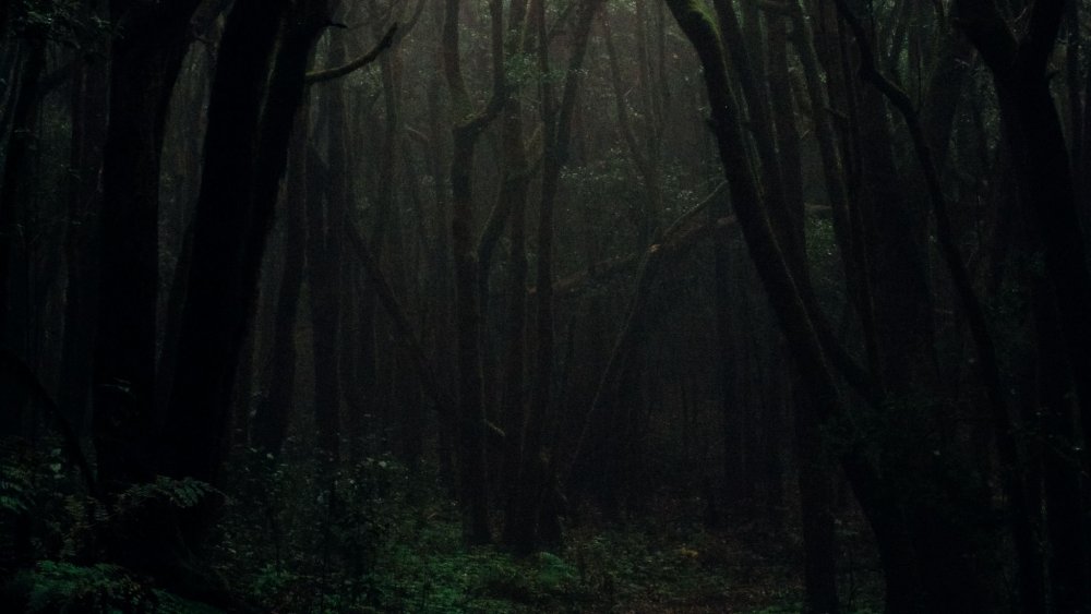Хью Уолпол темный лес