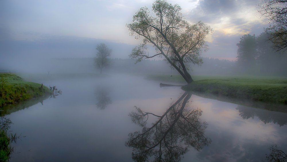 Берег реки туман