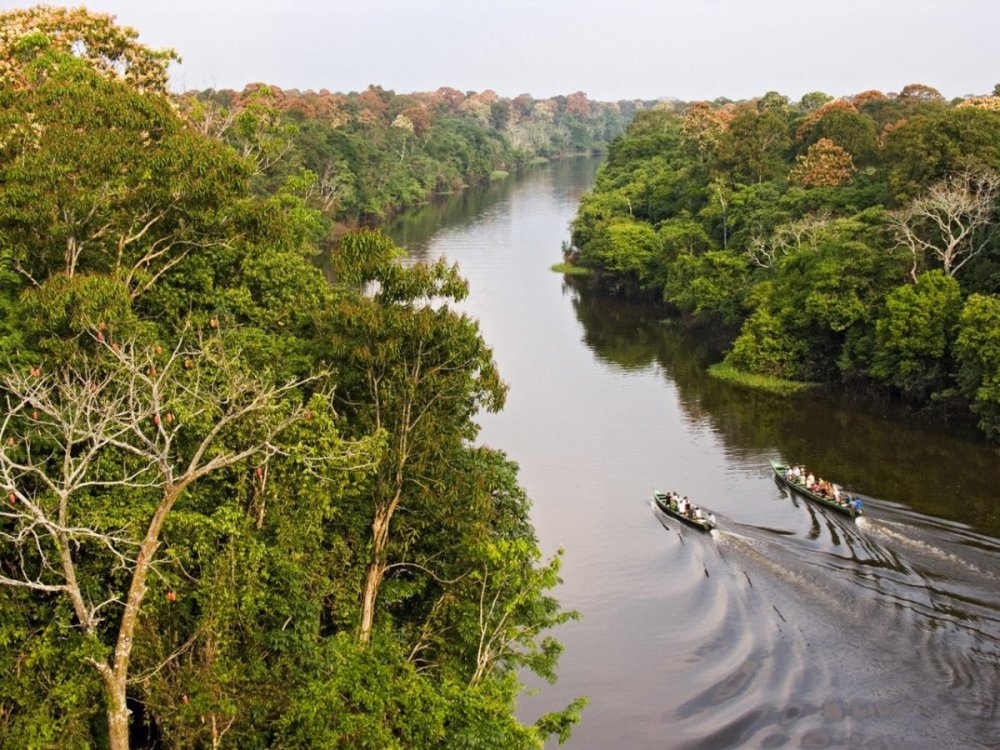 Река Амазонка в Бразилии