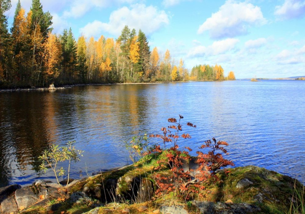 Золотая осень в Карелии