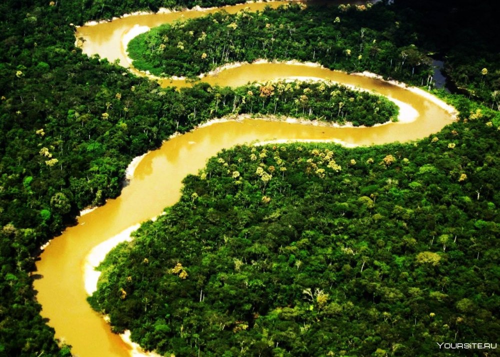 Центральная Амазония (Бразилия)
