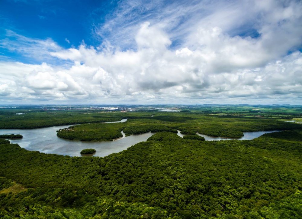 Бразилия Амазонская низменность