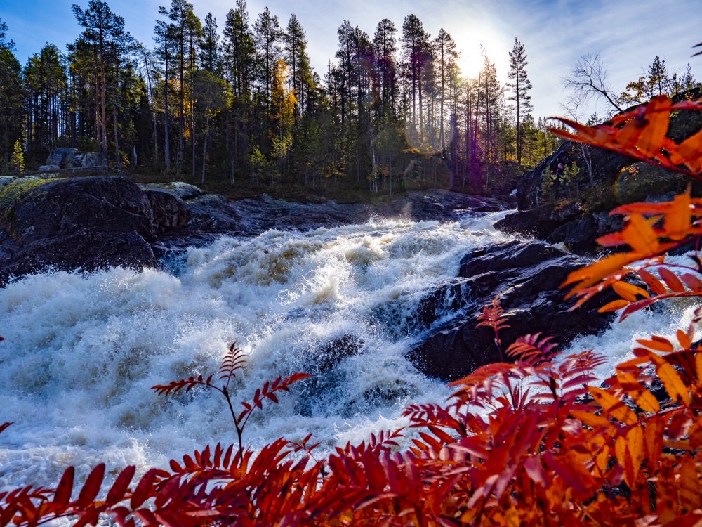 Карелия Кивач осень