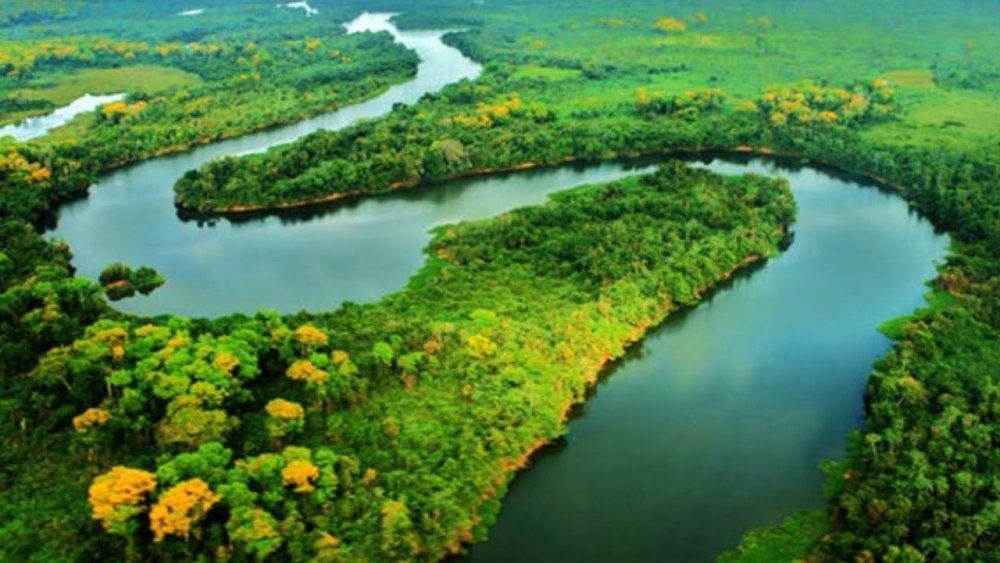 Реки Амазонка Парана
