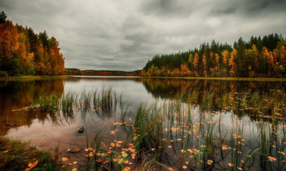 Карелия озера осень