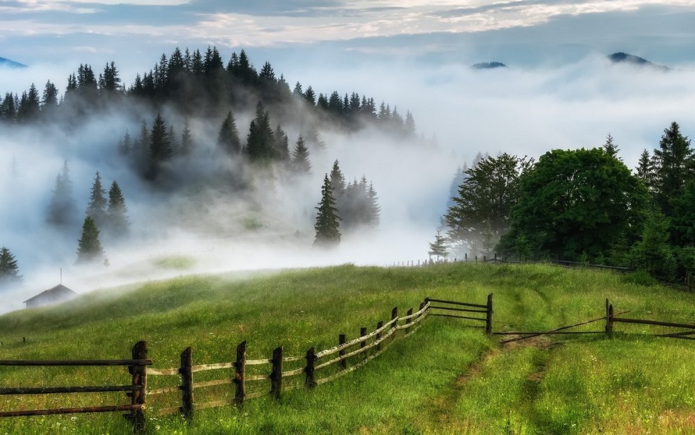 Карпаты Украина холмы туман