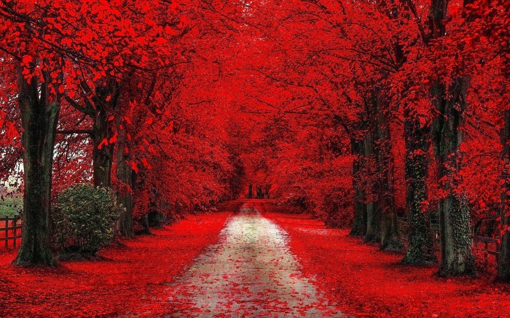 Красный цвет в природе и искусстве